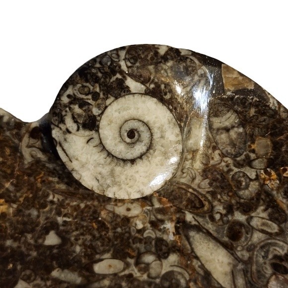 NWOT Gray Heart Shape Natural Stone Fossil Dish - Picture 9 of 9